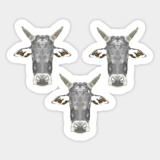 Black Bull Trio Sticker